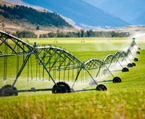 irrigation