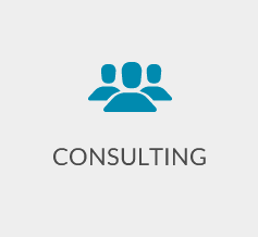 consulting